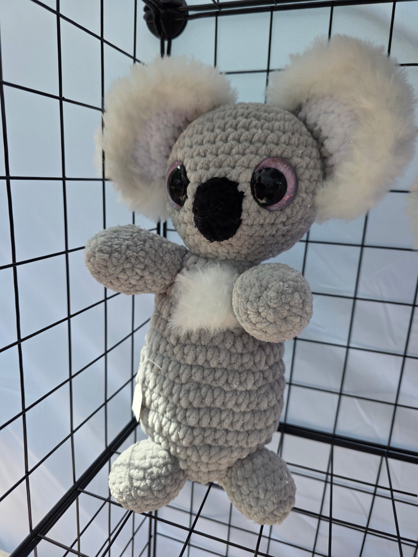 Mr Koala